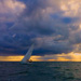 Wednesday Winter Sailing